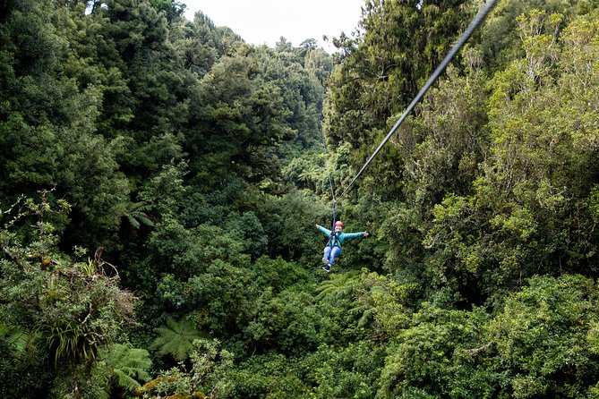 The Ultimate Canopy Zipline Experience Private Tour From Auckland - Who should book this Auckland to Rotorua day?