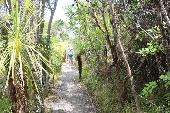 Tiritiri Matangi Island Discovery - from Auckland - Key points to know before booking