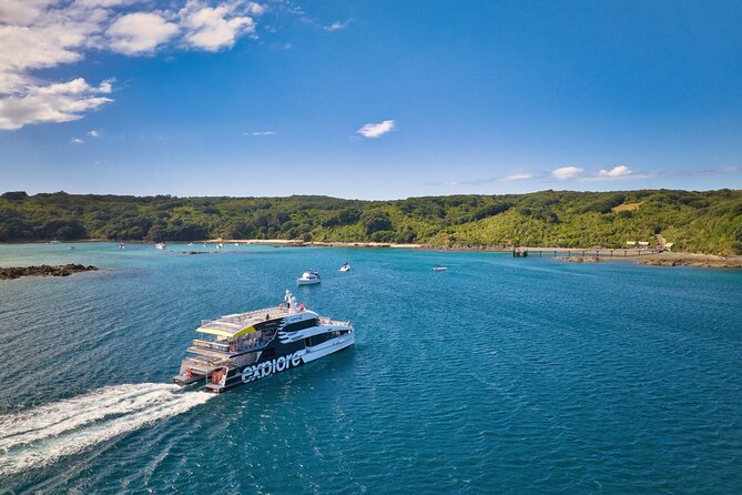 Tiritiri Matangi Island Discovery - from Auckland - Why Tiritiri Matangi feels different from a normal Auckland day trip