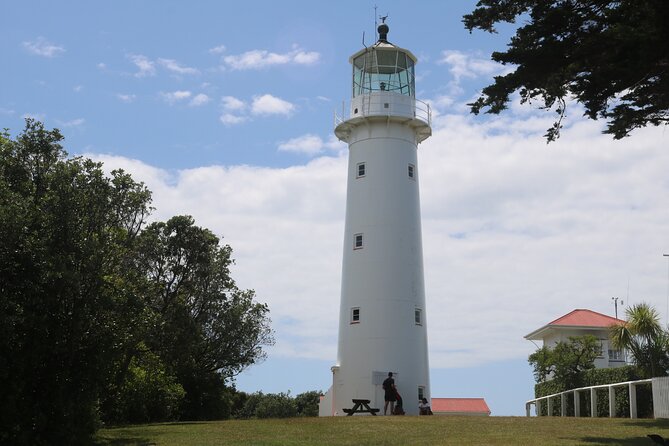 Tiritiri Matangi Island Discovery - from Auckland - Join a volunteer guide or walk independently