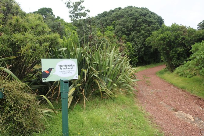 Tiritiri Matangi Island Discovery - from Auckland - The lighthouse, cliff tops, and Hobbs Beach