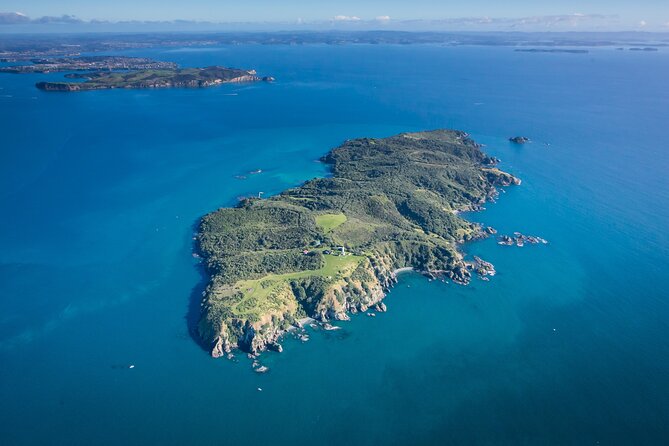 Tiritiri Matangi Island Discovery - from Auckland - Choosing Auckland Viaduct or Gulf Harbour