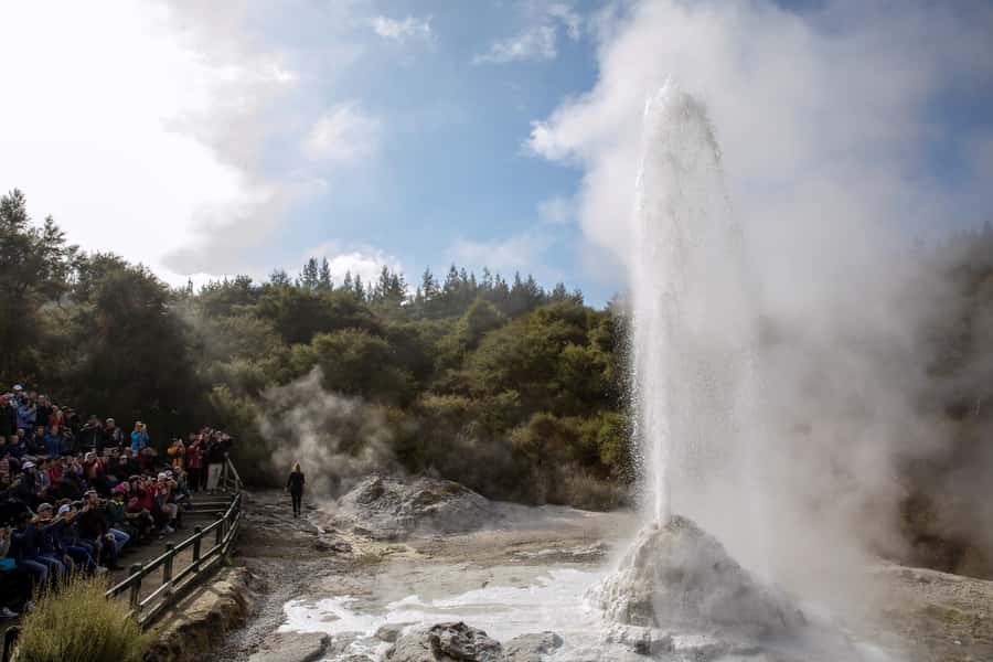 TRIPLE DEAL Wai-O-Tapu, Redwood & Blue Springs from Auckland - Key points to know before booking
