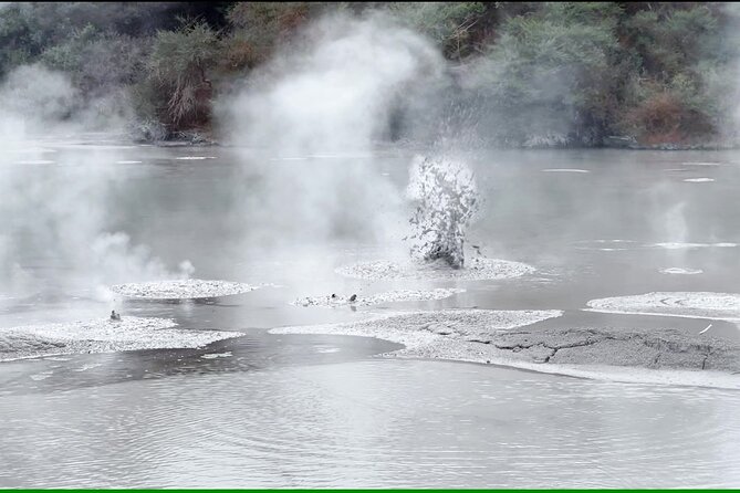 TRIPLE DEAL Wai-O-Tapu, Redwood Forest & Blue Springs Ex Auckland - Lady Knox Geyser at 10:15 AM