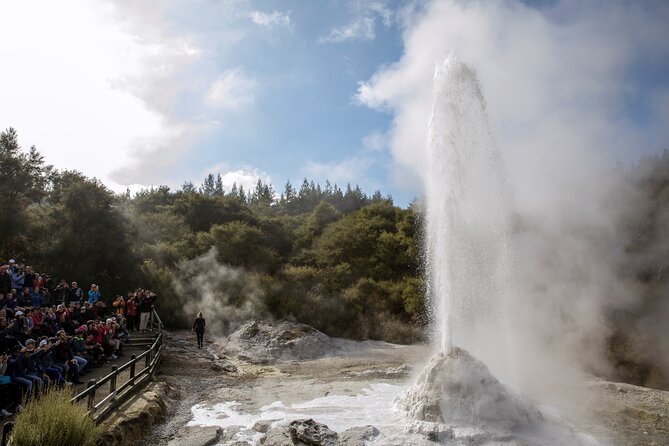 TRIPLE DEAL Wai-O-Tapu, Redwood Forest & Blue Springs Ex Auckland - A short walk beneath Rotorua’s Redwoods