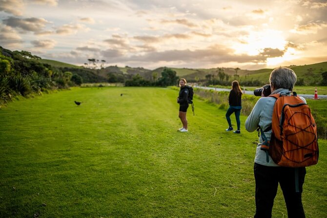 Twilight Wild Kiwi Bird Encounter Private Tour - Why seeing a wild kiwi matters