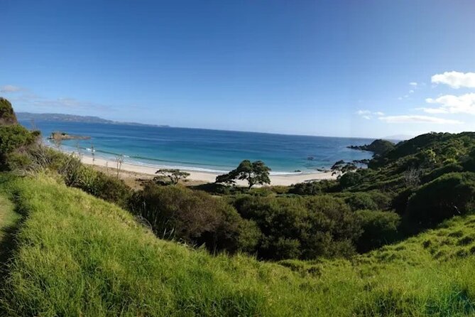 Twilight Wild Kiwi Bird Encounter Private Tour - Entering Tāwharanui after dark