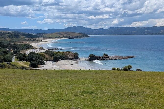 Twilight Wild Kiwi Bird Encounter Private Tour - What a successful sighting can be like