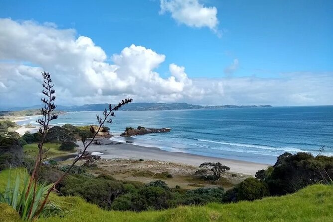 Twilight Wild Kiwi Bird Encounter Private Tour - Bubbles, hot chocolate, and the trip back