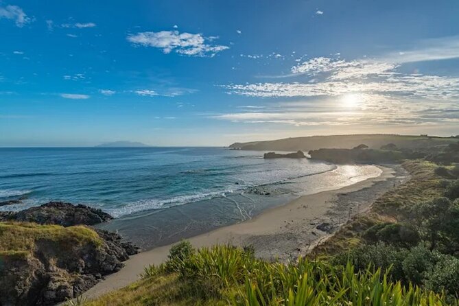 Twilight Wild Kiwi Bird Encounter Private Tour - Is $589.54 per person good value?
