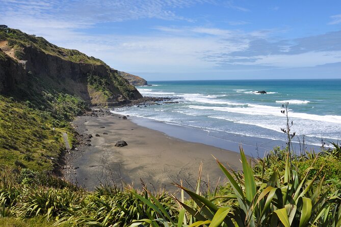Ultimate Auckland Experience Full Day Tour with Brewery Lunch - The seasonal gannet colony