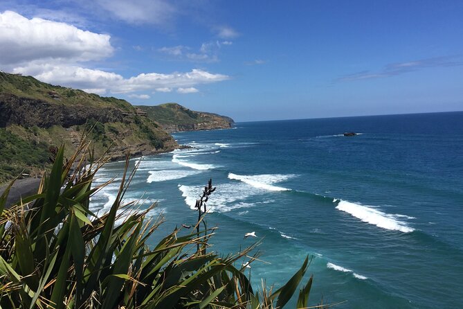 Vineyards Honey and Black Sand Beaches from Auckland - Kumeu River: a serious start to the wine day