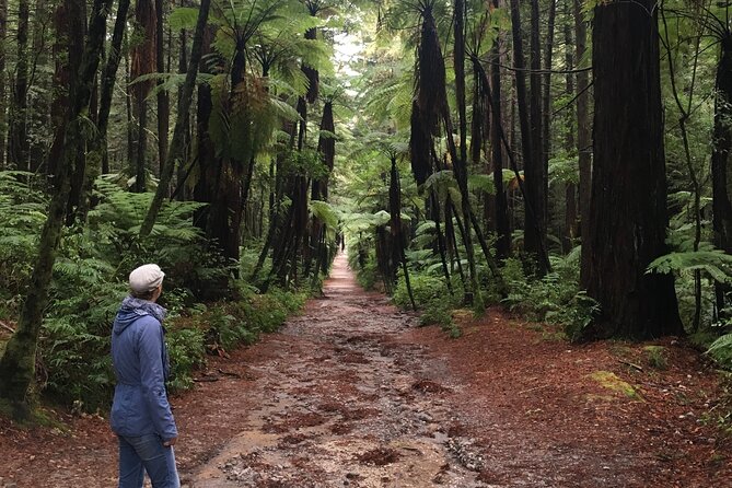 Volcanic Rotorua Day Trip from Auckland - Lake Rotorua and the Government Gardens round out the day