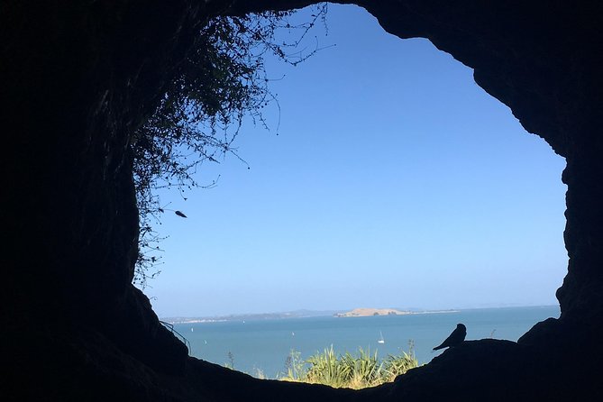 Volcanoes, Coasts, and Secret Spots Afternoon Tour in Auckland - Why Auckland’s volcanoes are the real attraction