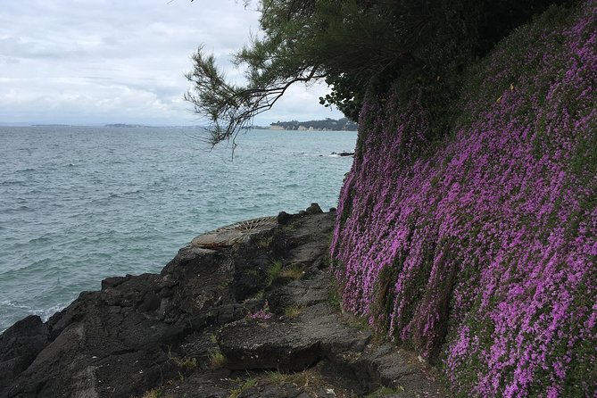 Volcanoes, Coasts, and Secret Spots Afternoon Tour in Auckland - Takapuna’s lava coast and forest walk