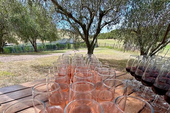 Waiheke Island: Afternoon Wine Affair with Ocean Front Lunch - Batch Winery trades cellar-door intimacy for big views