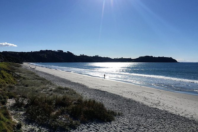 Waiheke Island Bush & Beach Walk - Why Waiheke works so well for a walking day