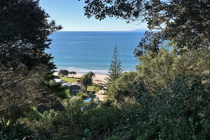 Waiheke Island Bush & Beach Walk - Guides who adapt the day