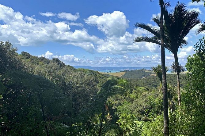 Waiheke Island Bush & Beach Walk - Who will enjoy this half-day walk