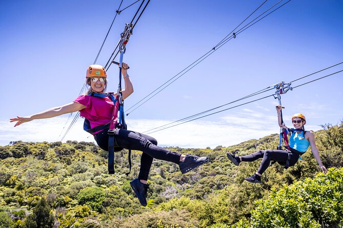 Waiheke Island Day Tour: Ziplining, Wine Tasting & Vineyard Lunch - Key points to know before you book