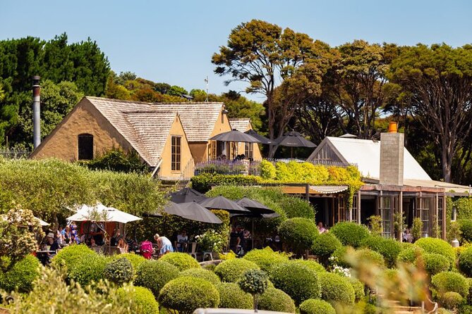 Waiheke Island Day Tour: Ziplining, Wine Tasting & Vineyard Lunch - Start with the ferry, then get ready to zip