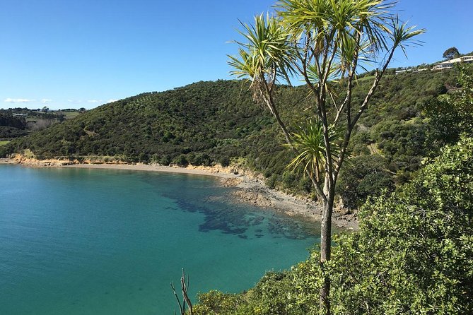 Waiheke Island Double Headland Coastal Walk - The Church Bay section and changing coastal views