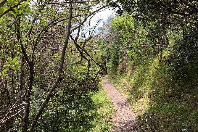 Waiheke Island Double Headland Coastal Walk - Starting at Waiheke’s Matiatia ferry terminal