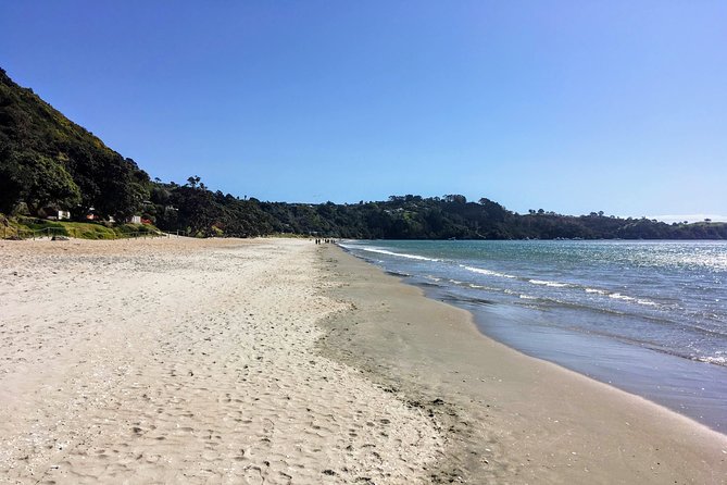 Waiheke Island Experience Tour - Mudbrick Vineyard and the Auckland skyline