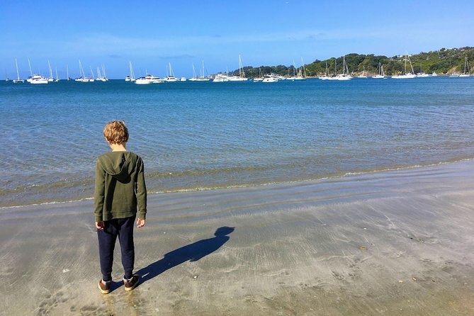 Waiheke Island Experience Tour - What the $340.05 price really buys