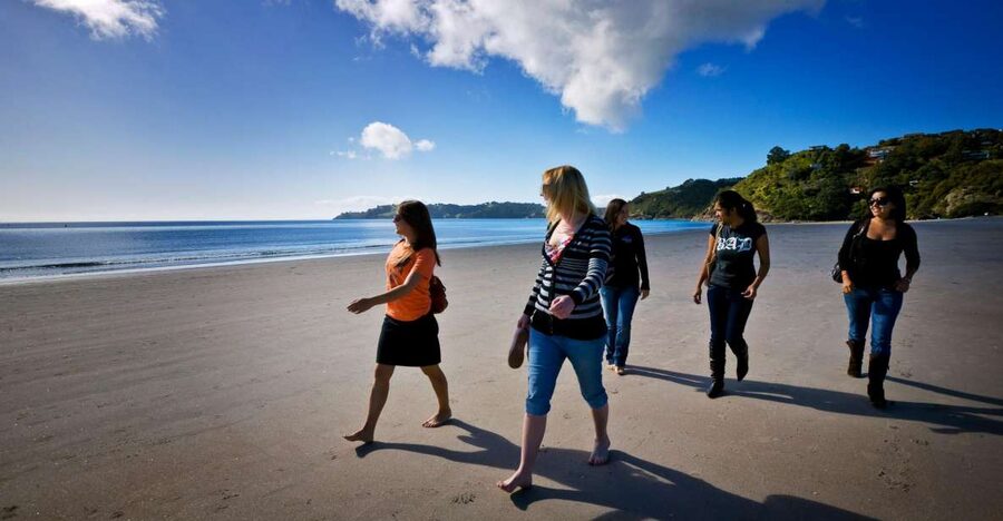Waiheke Island: Ferry & Hop-On Hop-Off Explorer Bus Tickets - Who should book this Waiheke tour?