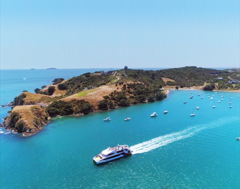 Waiheke Island: Ferry & Hop-On Hop-Off Explorer Bus Tickets - Is $59 good value?