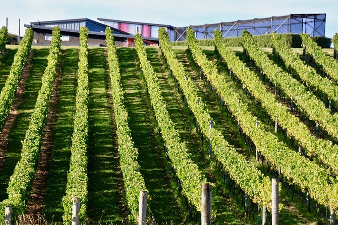 Waiheke Island - Fly and Dine (from North Shore Airport) - What the $421.37 price really covers