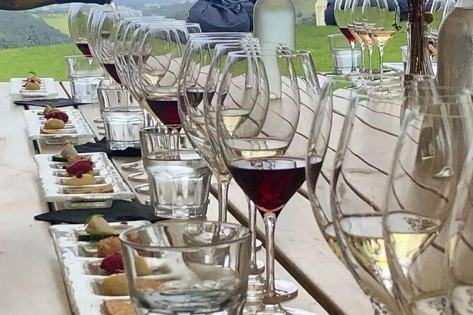 Waiheke Island Gourmet Food and Wine Tour - Who should book this Waiheke tour