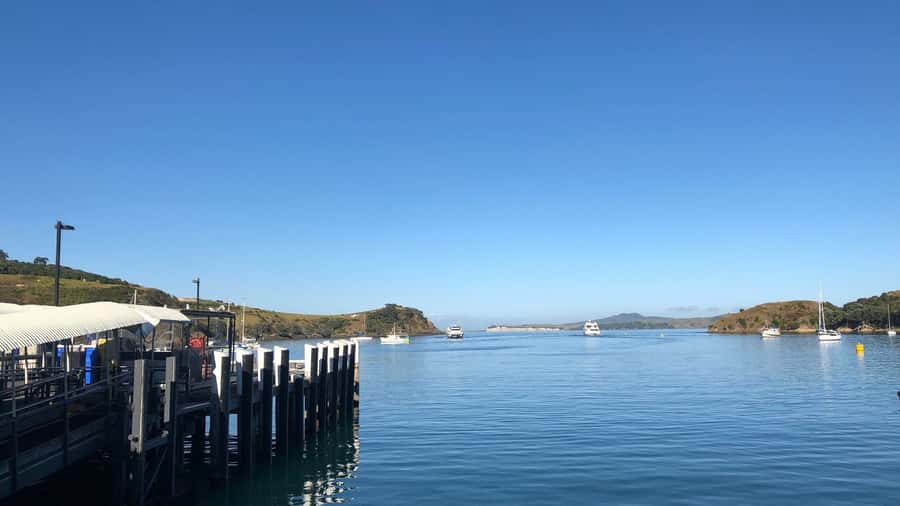 Waiheke Island Gourmet Food and Wine Tour with Lunch - Why this Waiheke tour feels like more than a wine shuttle