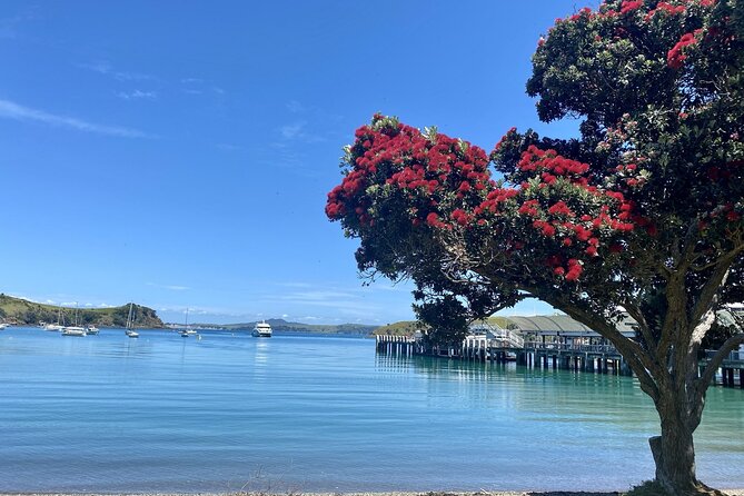 Waiheke Island Gourmet Food and Wine Tour - Kennedy Point Vineyard starts the tasting day