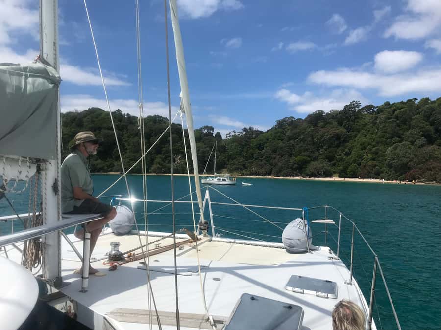 Waiheke Island: Gulf Marine Park Sailing Adventure & Lunch - Key points to know before booking