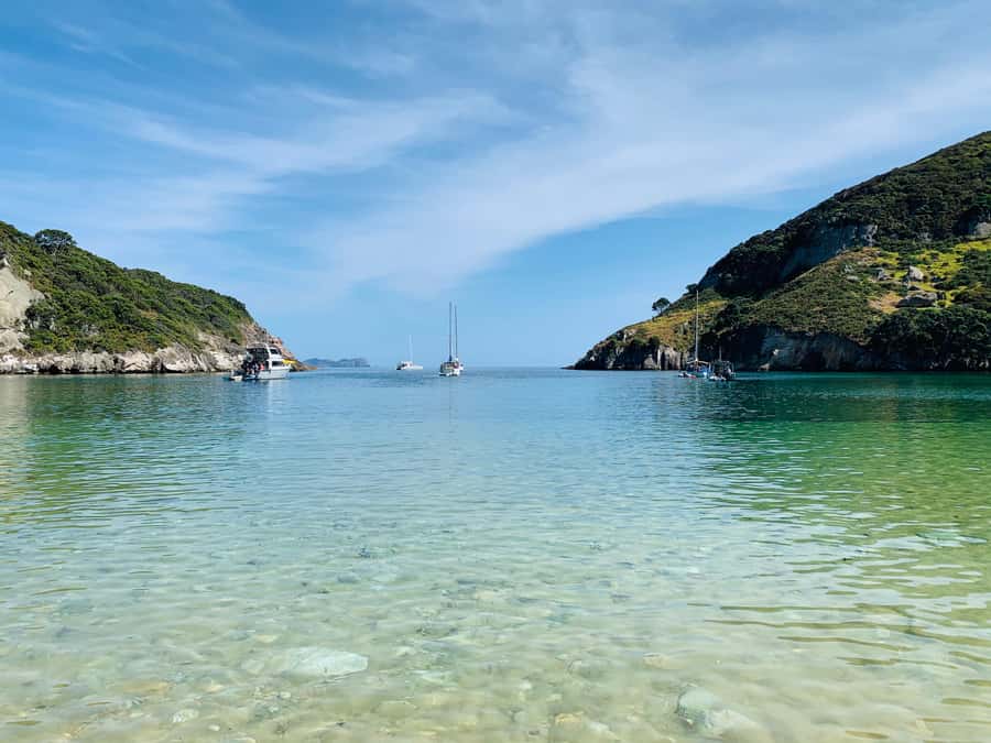 Waiheke Island: Gulf Marine Park Sailing Adventure & Lunch - Practical preparation for the day