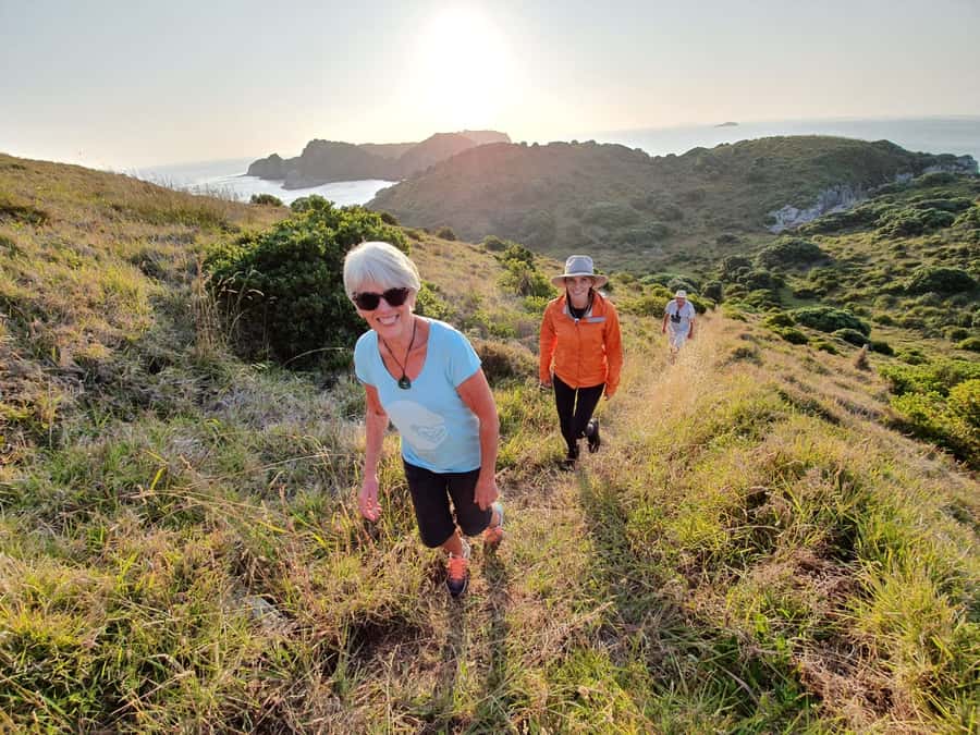 Waiheke Island: Gulf Marine Park Sailing Adventure & Lunch - The pest-free island walk