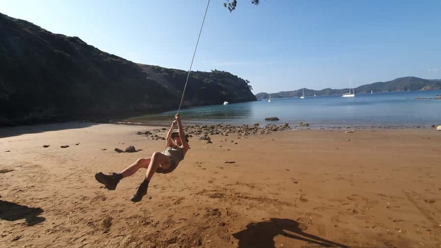 Waiheke Island: Gulf Marine Park Sailing Adventure & Lunch - A small crew and hands-on feel