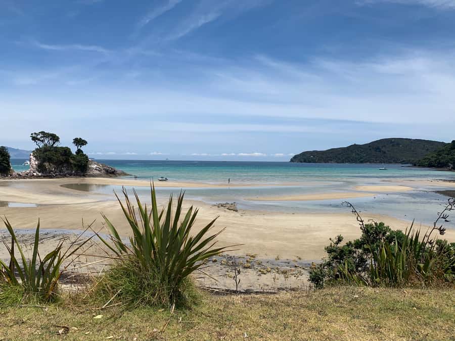 Waiheke Island: Gulf Marine Park Sailing Adventure & Lunch - Who will enjoy this Waiheke sailing day