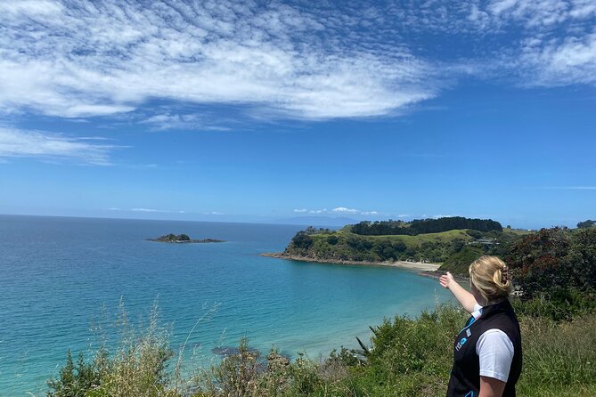 Waiheke Island Half Day Scenic Wine and Lunch - Why this Waiheke afternoon works
