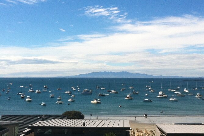 Waiheke Island Half Day Scenic Wine and Lunch - Goldie Estate or Stonyridge for lunch