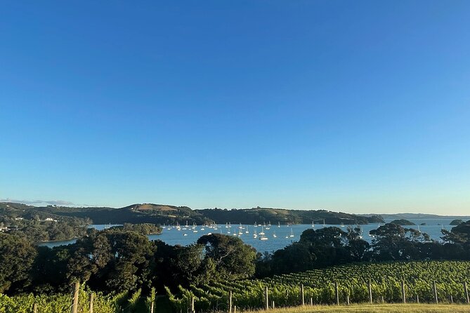 Waiheke Island Half Day Scenic Wine and Lunch - Onetangi Beach and the road across the island