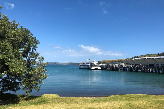 Waiheke Island Half Day Scenic Wine and Lunch - What the guides add to the afternoon