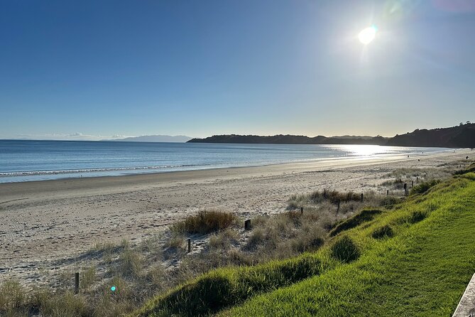 Waiheke Island Half Day Scenic Wine and Lunch - Food, wine, and non-drinker considerations