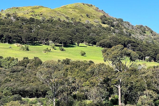 Waiheke Island History and Heritage Tour - Beaches, sea views, and time in Oneroa