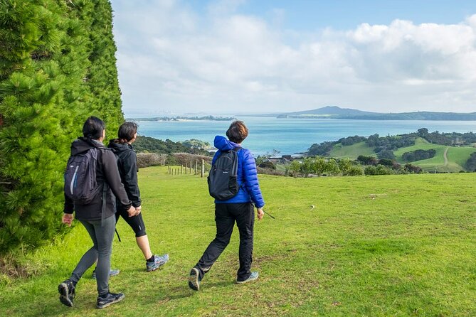 Waiheke Island History and Heritage Tour - Walking through native bush to an old pa site