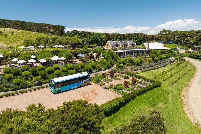 Waiheke Island Hop-On Hop-Off Explorer Bus - What this Waiheke bus tour really gives you
