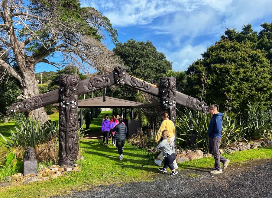 Waiheke Island: Maori Cultural Tour + Lunch + Wine - Key points at a glance