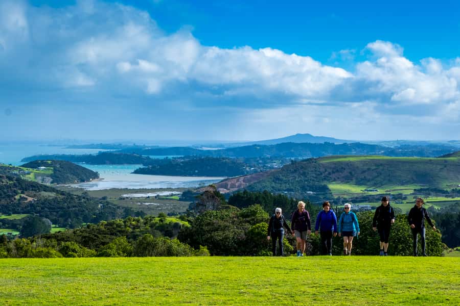 Waiheke Island: Premium Vineyard, Wine Tasting and Bush Walk - Tasting at Mudbrick Vineyard